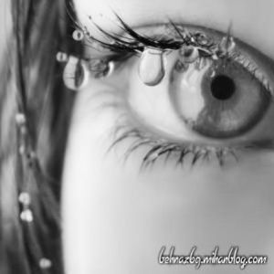 Meet your Posher, Mehr